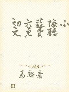 初六苏梅小说全文免费听