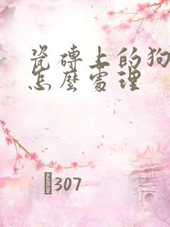 瓷砖上的狗尿渍怎么处理