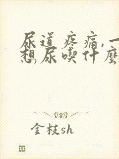 尿道疼痛,一直想尿吃什么药