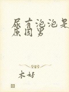 尿有泡泡是什么原因男