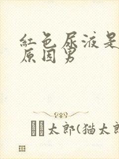 红色尿液是什么原因男