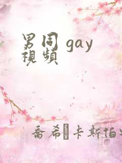男同 gay 视频
