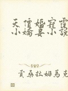 天价婚宠霍总的小娇妻小说全文免费阅读