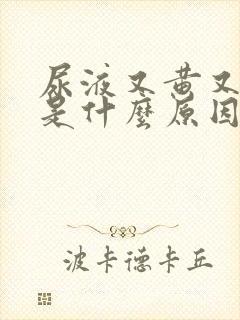 尿液又黄又浑浊是什么原因