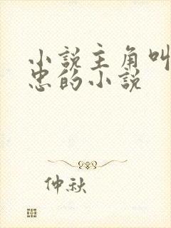 小说主角叫江建忠的小说