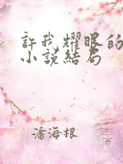 许我耀眼的原著小说结局