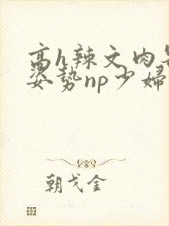 高h辣文肉各种姿势np少妇