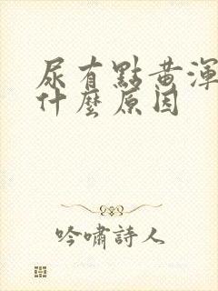 尿有点黄浑浊是什么原因