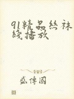 91精品丝袜在线播放