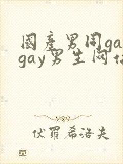 国产男同gaygay男生网站