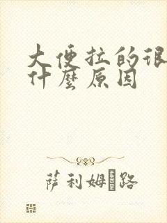 大便拉的很臭是什么原因