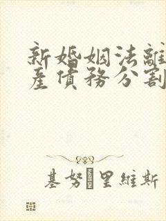 新婚姻法离婚财产债务分割