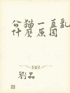 公猫一直乱尿是什么原因