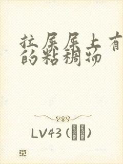 拉屎屎上有黄色的粘稠物