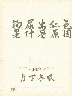 狗尿出红色的尿是什么原因