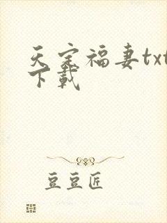 天定福妻txt下载