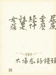 女性经常尿频尿痛是什么原因