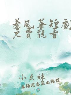 惹风华短剧全集免费观看