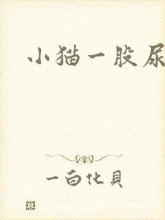 小猫一股尿骚味