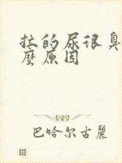 拉的尿很臭是什么原因