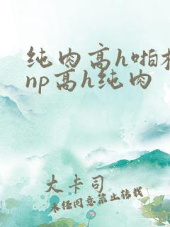 纯肉高h啪校园np高h纯肉