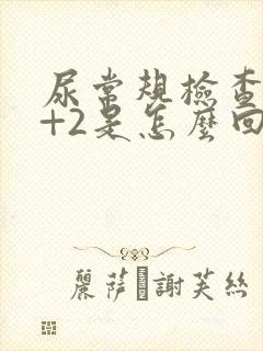 尿常规检查潜血+2是怎么回事