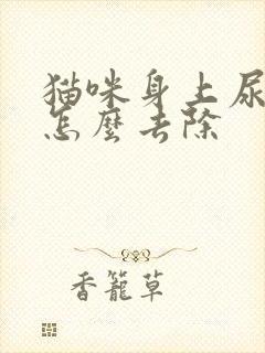 猫咪身上尿骚味怎么去除