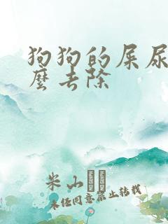 狗狗的屎尿味怎么去除