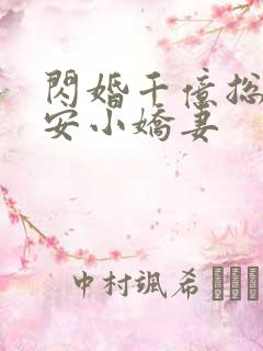 闪婚千亿总裁吻安小娇妻