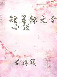 短篇辣文合集. 小说