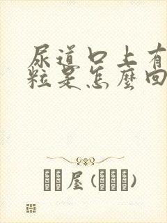 尿道口上有小肉粒是怎么回事