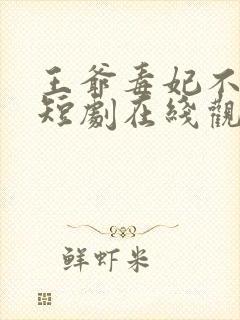 王爷毒妃不好惹短剧在线观看免费