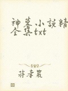神墓小说精校版全集txt
