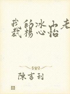 我的冰山老婆总裁杨心怡