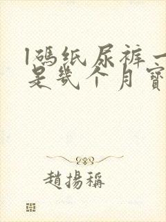 l码纸尿裤一般是几个月宝宝穿