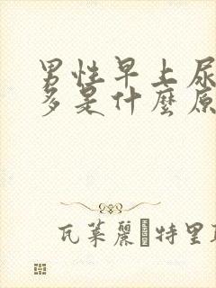 男性早上尿泡沫多是什么原因