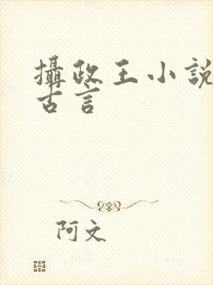 摄政王小说男男古言