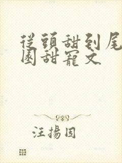 从头甜到尾的校园甜宠文