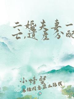 二婚夫妻一方死亡,遗产分配