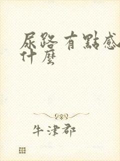 尿路有点感染吃什么