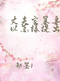 丈夫家暴妻子可以怎样提出离婚