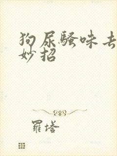 狗尿骚味去除小妙招