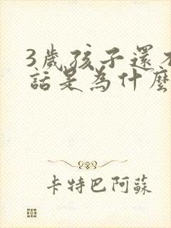 3岁孩子还不说话是为什么