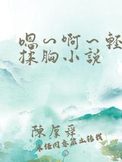 嗯∽啊～轻点禁揉胸小说