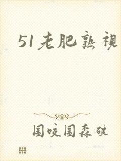 51老肥熟视频
