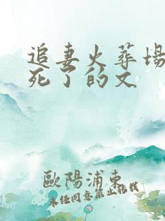 追妻火葬场女主死了的文