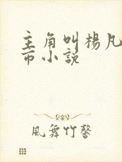 主角叫杨凡的都市小说