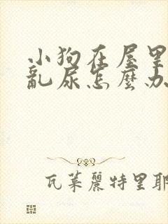 小狗在屋里乱拉乱尿怎么办