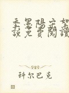 季墨阳宋絮晚小说免费阅读全文最新章节