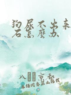 狗尿不出来尿结石怎么办